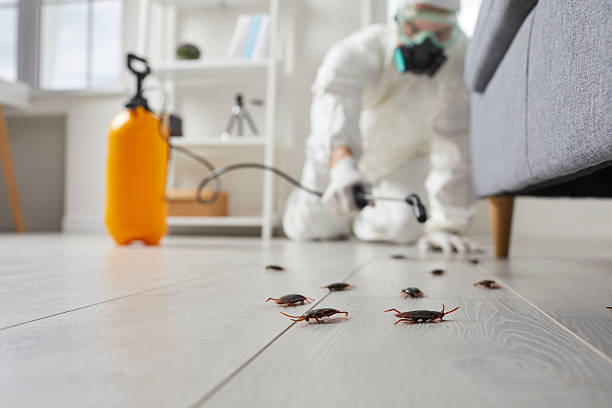 Commercial Kitchen Cockroach Control in Splendora